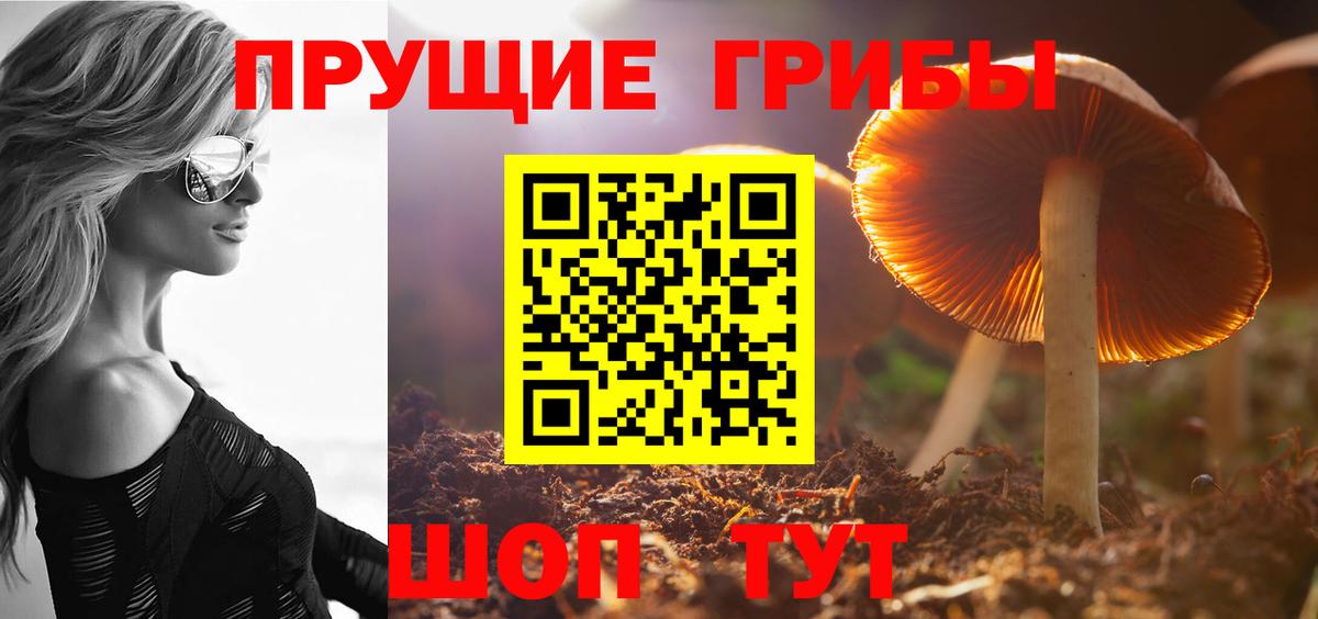 Галлюциногенные грибы Psilocybine cubensis  Вход с VPN  Северск 